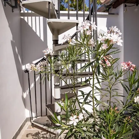 City-top Panorama House & אסטרגום