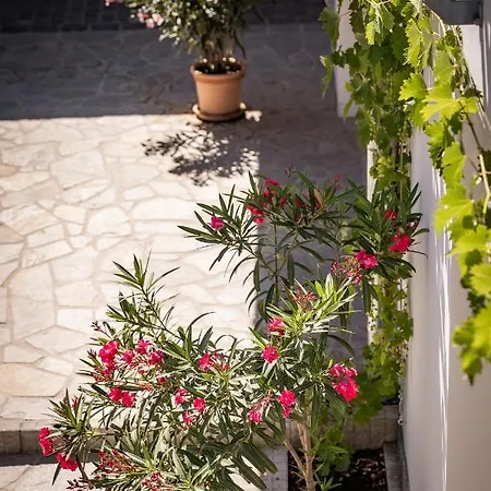 City-top Panorama House &